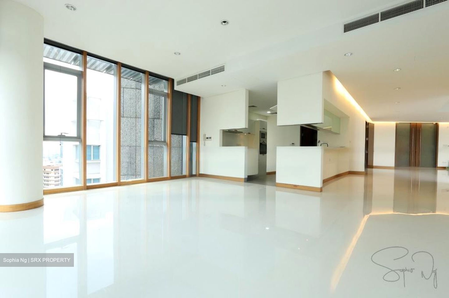 Tan Chin Tuan Mansion (D9), Apartment #460196101